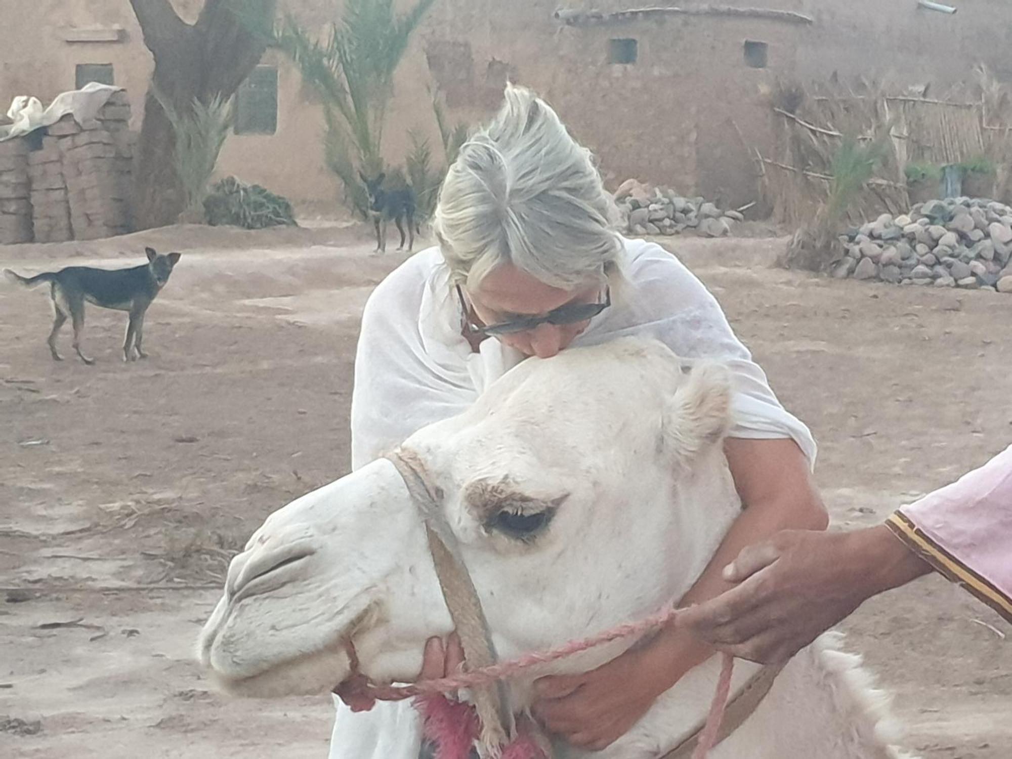 Gite Kasbah La Palmeraie Скура Экстерьер фото