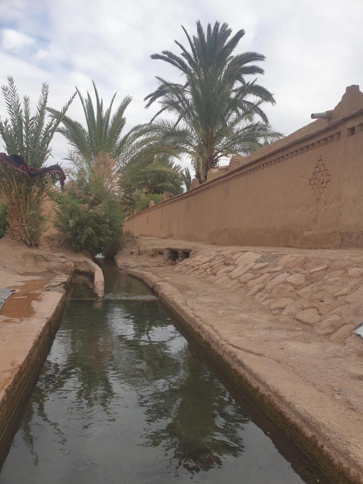 Gite Kasbah La Palmeraie Скура Экстерьер фото