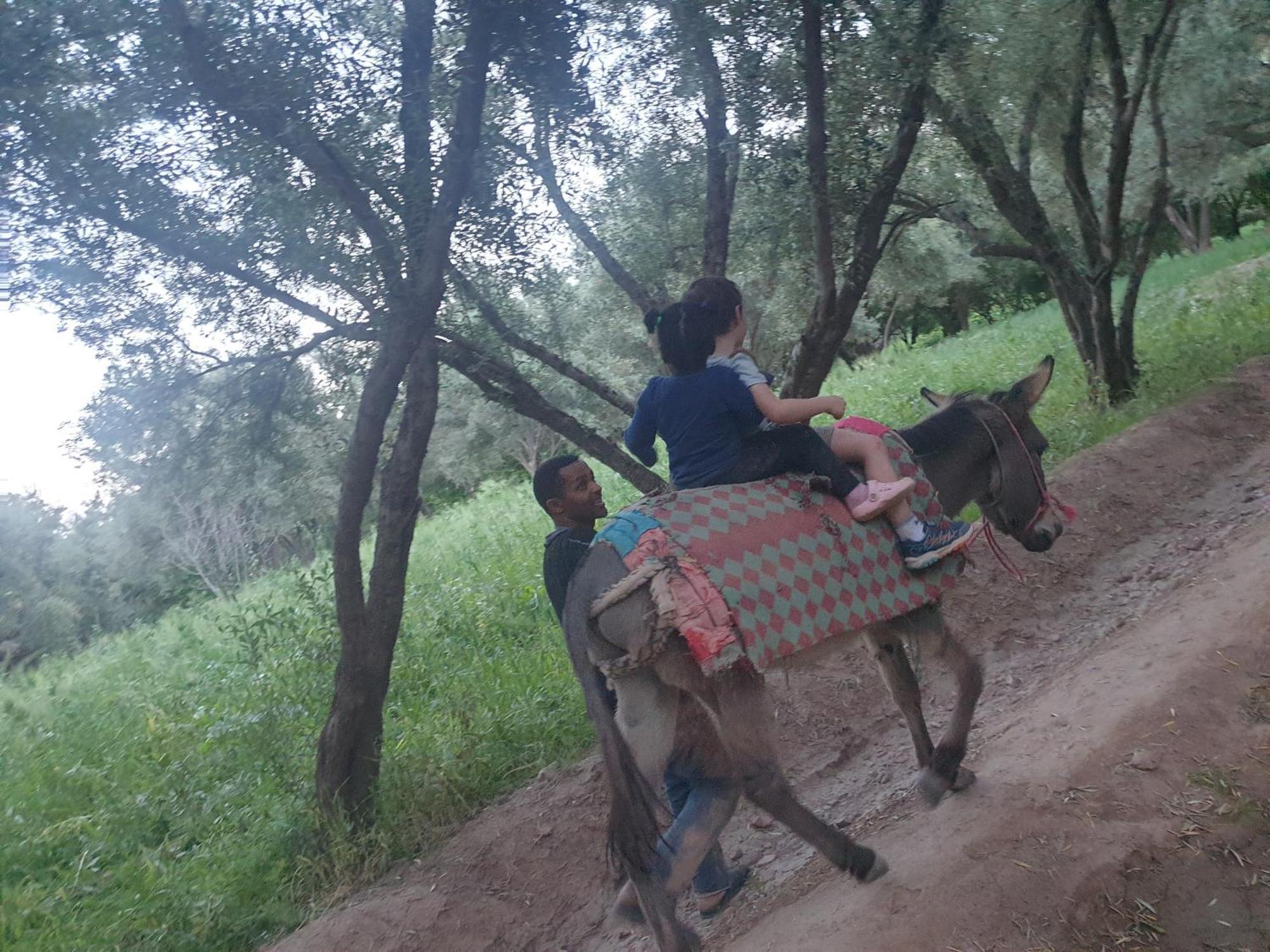 Gite Kasbah La Palmeraie Скура Экстерьер фото