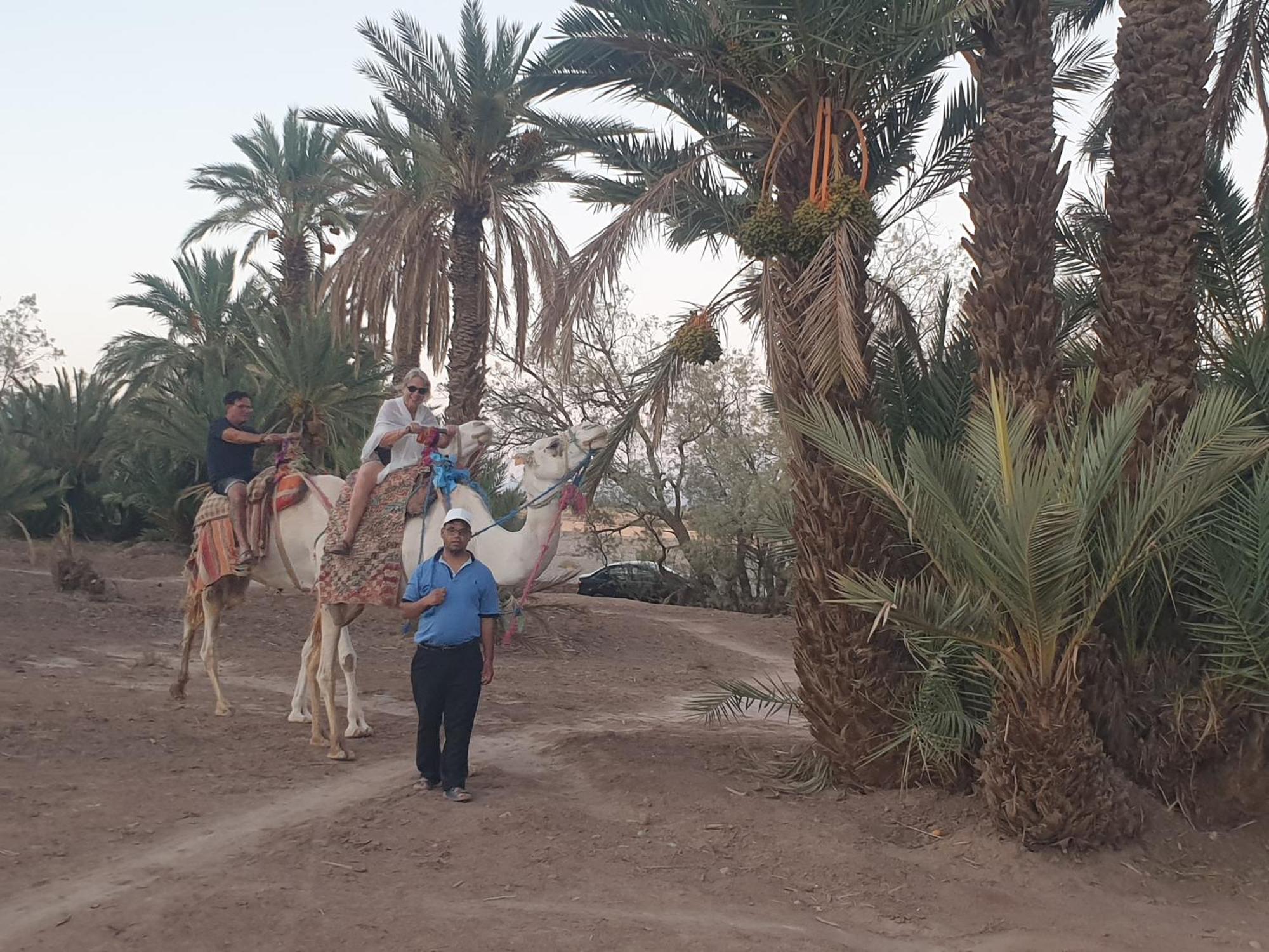 Gite Kasbah La Palmeraie Скура Экстерьер фото
