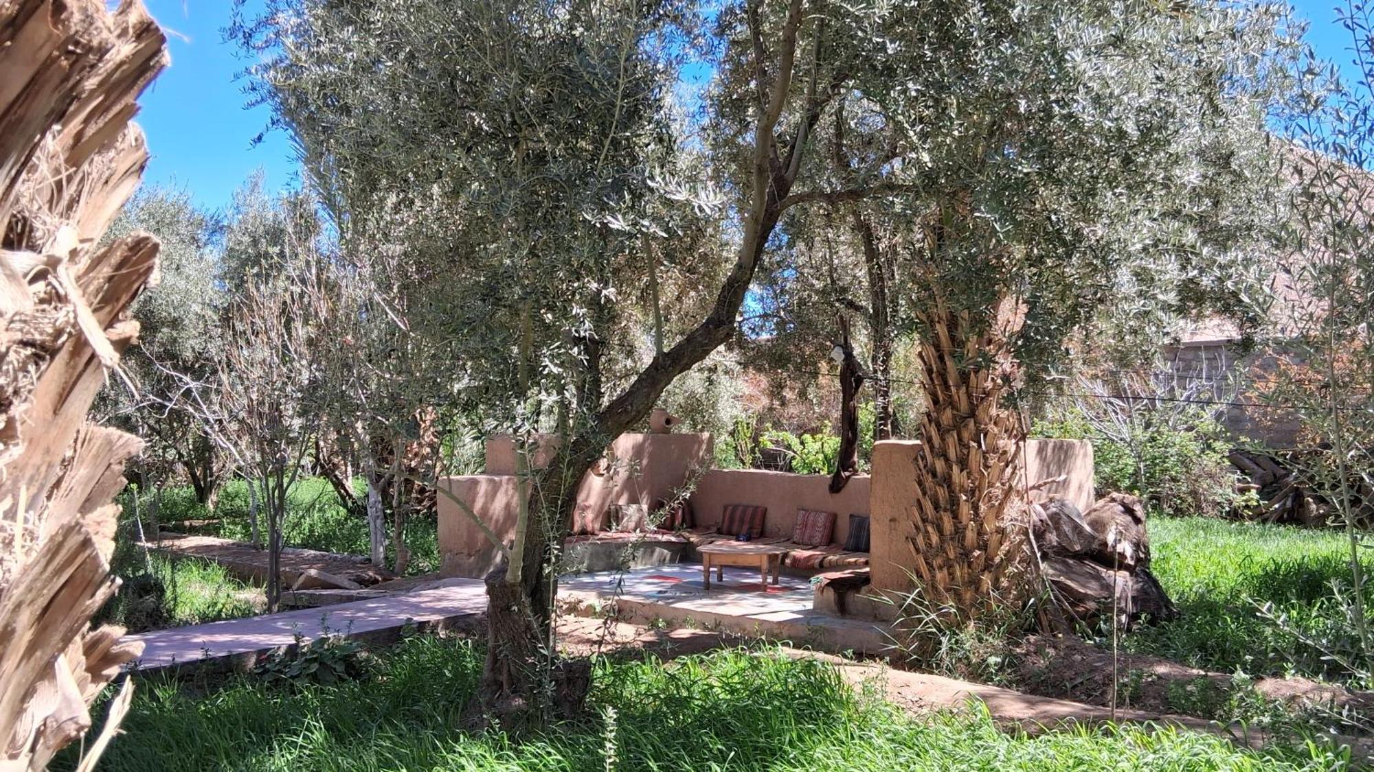 Gite Kasbah La Palmeraie Скура Экстерьер фото