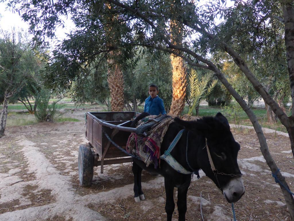 Gite Kasbah La Palmeraie Скура Экстерьер фото
