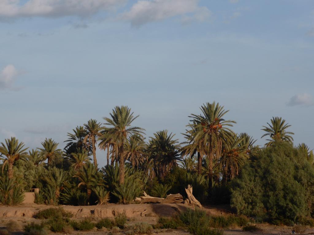 Gite Kasbah La Palmeraie Скура Экстерьер фото